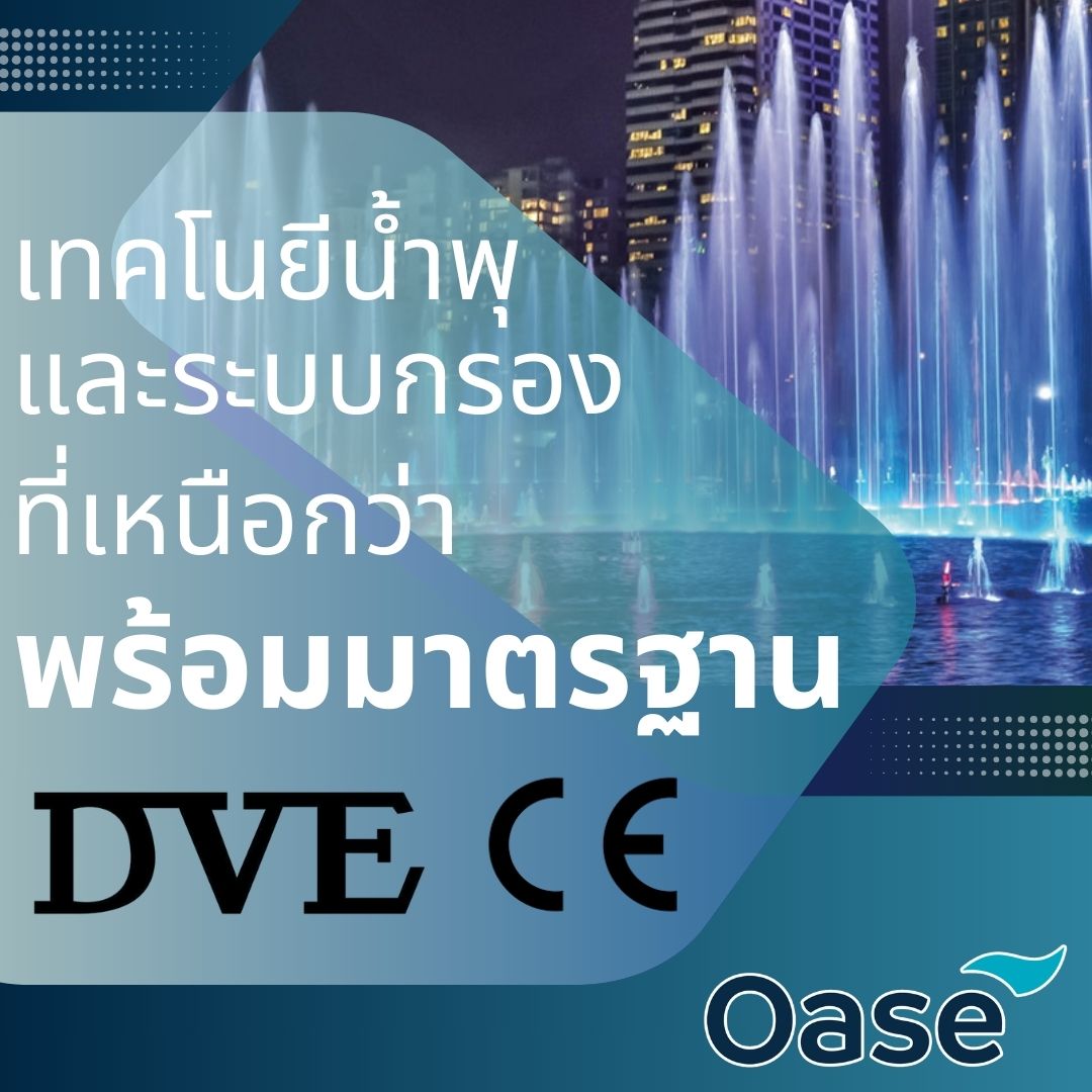 Images/Blog/X6wxJmqy-มาตรฐาน DVE CE.jpg